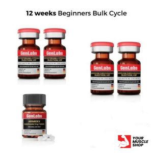 12 Weeks Beginners Bulk Cycle