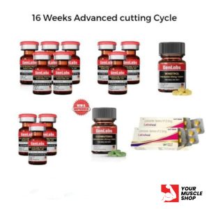 16 Weeks Advanced Cutting Cycle